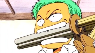 Zoro's past