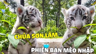 Khi Bạn Sinh Ra Là MỒN LÈO Nhưng Dòng Đời Đưa Đẩy Bắt Làm HỔ ~ 😂 Gâu Đần Official