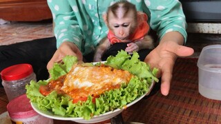 Baby Monkey Attended the cooking activities