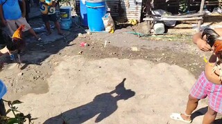 brgay. bolo 2