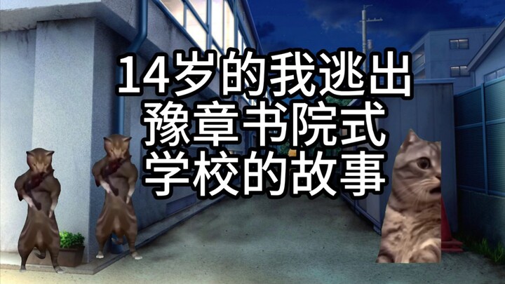 关于14岁的我逃出豫章书院式学校的故事【猫meme】