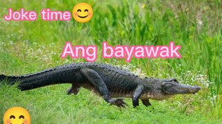 Ang Bayawak 🦎