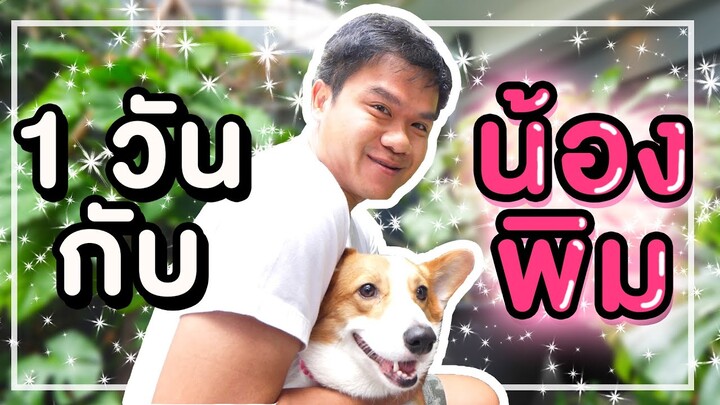 อยู่กับน้องพิม 24 ชั่วโมง l Bie The Ska X Pimpila corgi