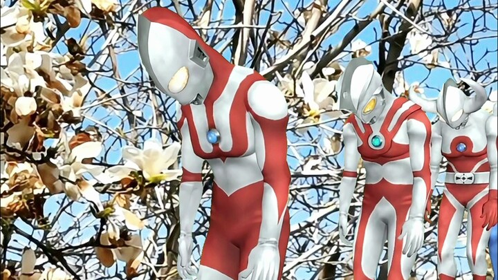 Lưu Ultraman Zero#Ultraman#二directional#Student Party