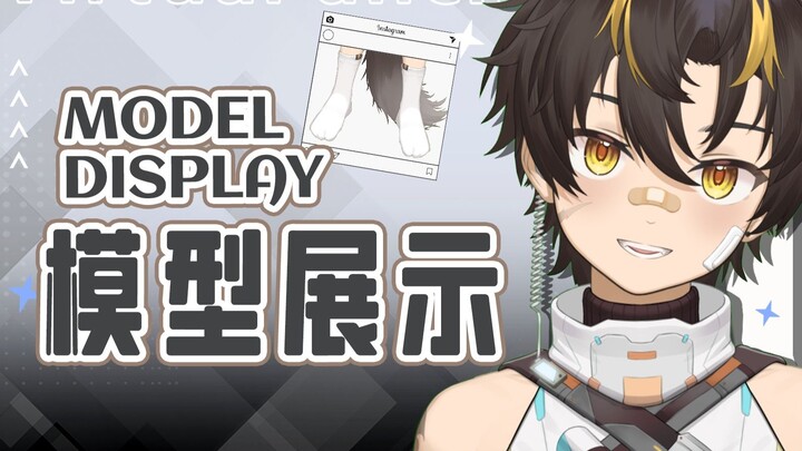 【Live2d模型展示】新长官居然是正太？
