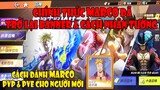 One Piece Fighting Path - Cách Sở Hữu Tướng Hiếm Phượng Hoàng Marco Cho Ai Cần Mới Nhất