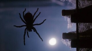 Arachnophobia (1990)