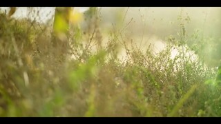 Vụ trộm lịch sử ngân hàng trung ương Brazil EP 3 [Sub Việt]