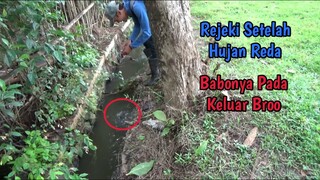 Asyiknya Mancing Setelah Hujan Reda || Ikannya Pada Galak Broo!!