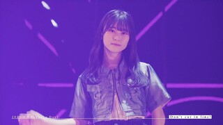 The Documentary of Tour 2024 of Yamashita Shizuki