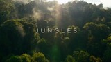 Planet Earth II S01 E03 - Jungles