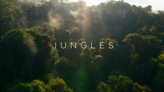 Planet Earth II S01 E03 - Jungles