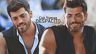 Can Yaman ❖ Despacito [Ozgur Atasoy]