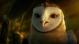 Legend. of. the. Guardians the Owls of Ga'Hoole (2010) B. L. U. .R. A. Y