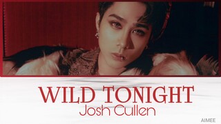 Wild Tonight - Josh Cullen (Lyrics)