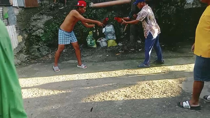 6months parehas