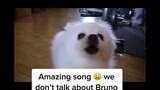 a dog singing "We don't talk about bruno"//ctto