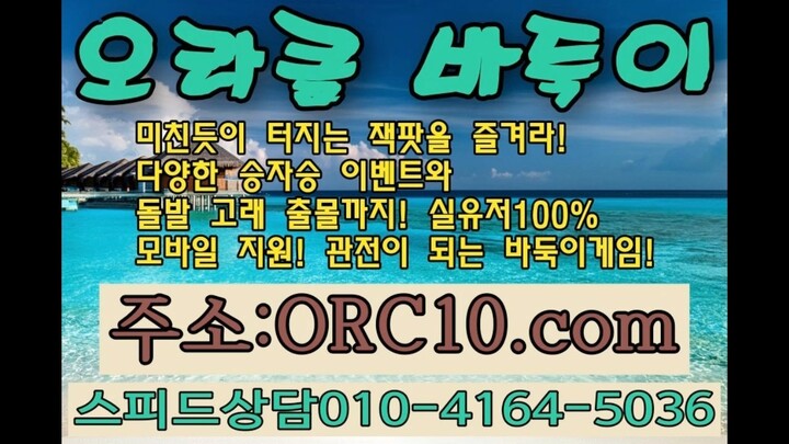오라클바둑이 이제 바둑이게임이 관전이 된다고! 신규오픈! 돌발로 고래가 출몰합니다^^ 고래 잡으세요~