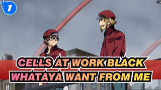 [Cells at Work!Black][2153/1677]Whataya want from me_1