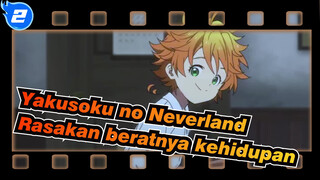 Yakusoku no Neverland|Rasakan beratnya kehidupan（Akhir dari Semua Mati）_2