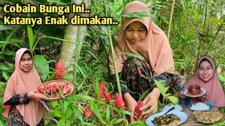 Bakwan Bunga LEMPUYANG, Sambel GOANG, Teri Hurang, Kerecek EMPET Cabe Ijo, Masakan Kampung