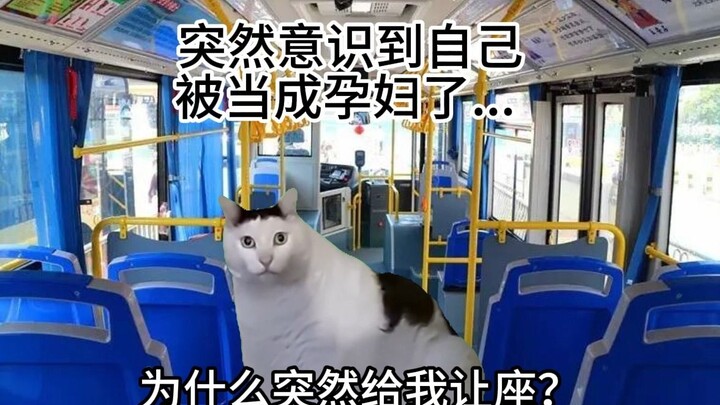 【Cat meme】About the time when I was mistaken for a pregnant woman when riding the bus