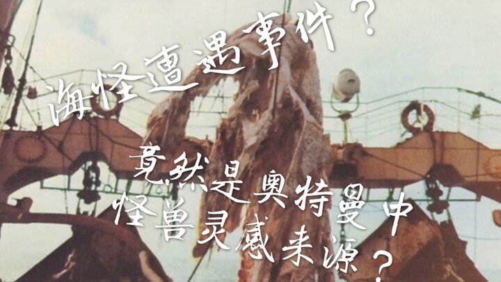 [Năm phút khoa học Tokusatsu] Sự kiện quái vật biển Nhật Bản năm 1977 thực sự đã dẫn đến sự ra đời c