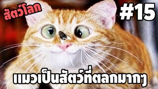 Ep.15 สัตว์โลกกวนตีน SS2 - [ พากย์นรก ] | easy boy