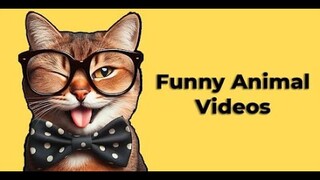 Funny Animal Videos | Funny cats and dogs 2024 #funnyanimals