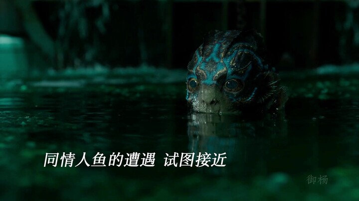 哑女与丑男鱼的相互救赎，跨越物种的感人爱情