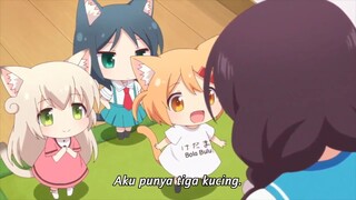 ketika km punya 3 kucing loli