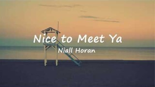 Nice to Meet Ya - Niall Horan (Lyric Video)