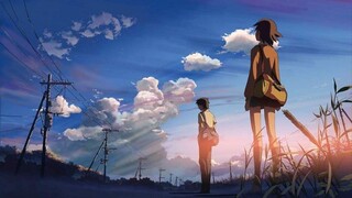 Byosoku 5 Centimeter (5 Centimeters Per Second) (2007)