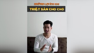 Những lợi ích khi triệt sản cho chó tuitienpet petonesaigon petnhatrang dcgr