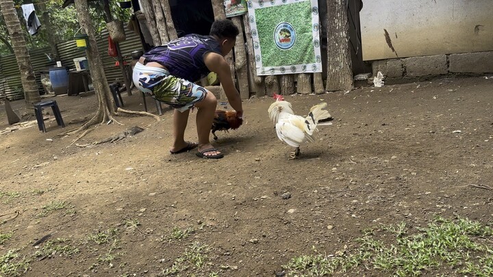 Anlakas pumalo sa taas