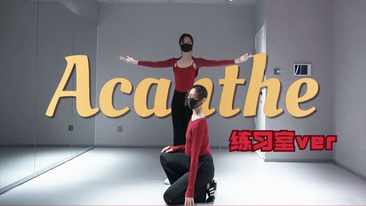【VK练习室翻跳】Acanthe/填空式编舞注意！！