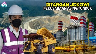 USAHA GILA JOKOWI DEMI INDONESIA! 6 Aset Sumber Daya Alam Indonesia Yang Berhasil Direbut Dari Asing