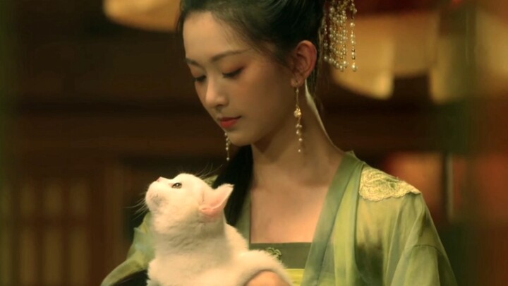 Film dan Drama|Sword Snow Stride-Ingin Bentuk Kelompok, Curi Kucing?