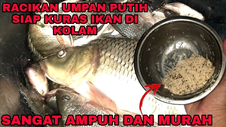 Racikan Umpan putih super, COCOK UNTUK LOMBA DAN HARIAN (di jamin ikan naik banyak)