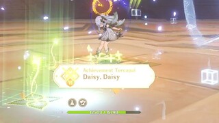 Achievement Daisy, Daisy 【Genshin Impact】