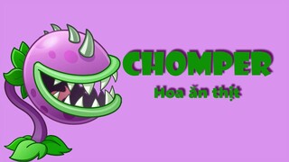 Plants vs Zombie 2 - Review Chomper trong game Plants vs Zombie 2