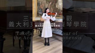 30-second tour of an Italian violin making school