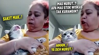 LUCU BANGET.! Ga Nurut Pas Potong Kuku, Si Kucing Dimarahin Emak Sampe Kena Mental ~ Kucing Lucu