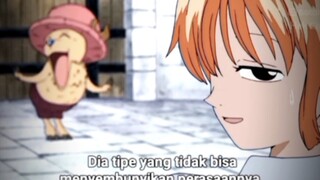 Kawaii, Momen chopper bertemu nami pertama kalii!!