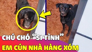 Trót thương EM CÚN nhà hàng xóm, chú Chó TRỒNG CÂY SI trước nhà khiến con Sen rơi nước mắt 😅 Gâu Đần