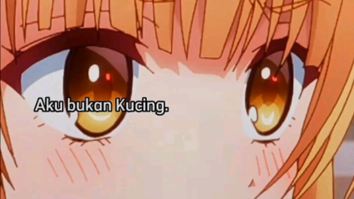 ayolahhh kawan jan menyisaka dirimu dengan anime ini