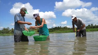 KHÔNG ĐÂU VUI BẰNG NƠI NÀY RỦ NHAU RA ĐỒNG CHẮN LƯỚI BẮT CÁ LÀM BỮA CƠM QUÊ ẤM ÁP