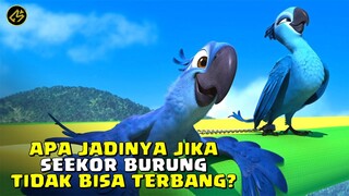 PETUALANGAN SEEKOR BURUNG UNTUK MENCARI CINTA SEJATINYA!!! || Alur Cerita FIlm RIO (2011)