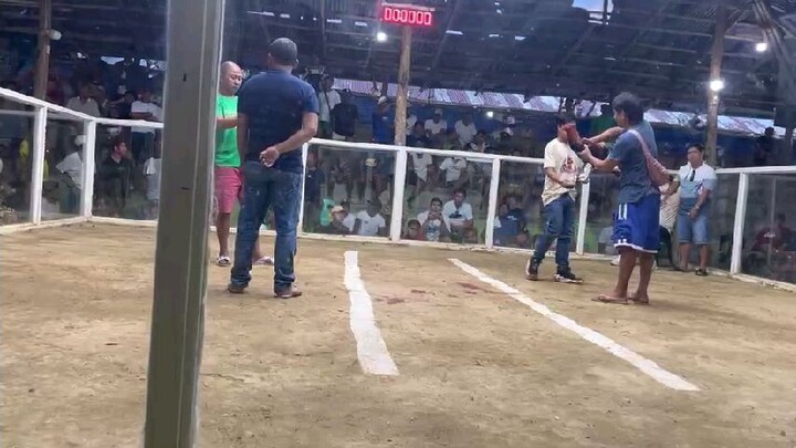 garry Gilliams Roundhead in action🦅