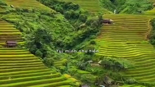 cuộc sống vẻ đẹp tây bắc
